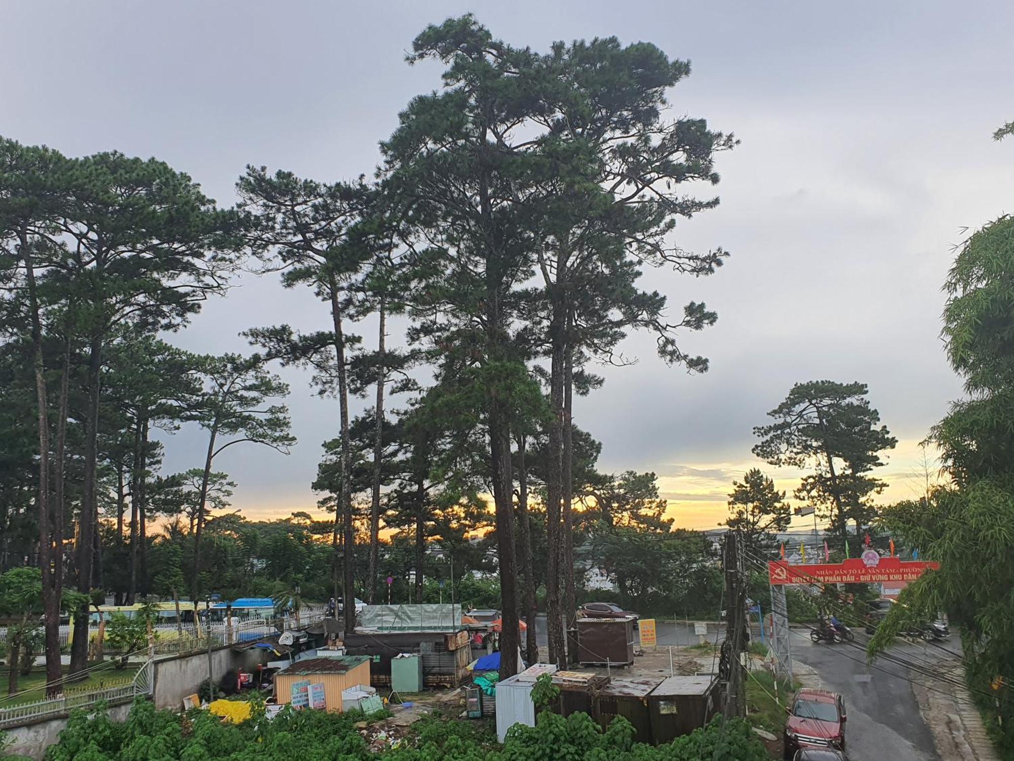 Duy Hotel Da Lat Exterior photo